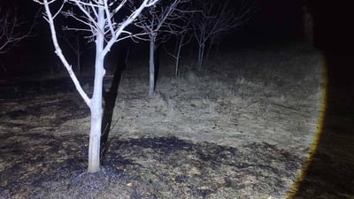 نزیكەی 20 دۆنم دار و پووش سووتا