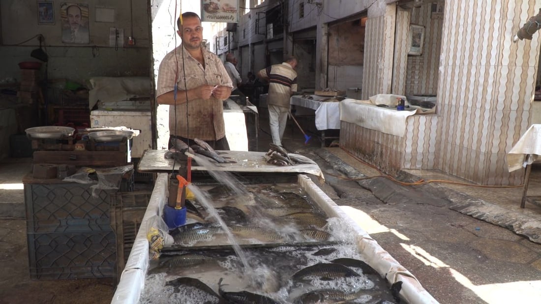 لا يدخل علوة الحلة ويباع بالاتفاق.. حرش البزل بـ 12 ألف دينار بسبب الجفاف (صور)