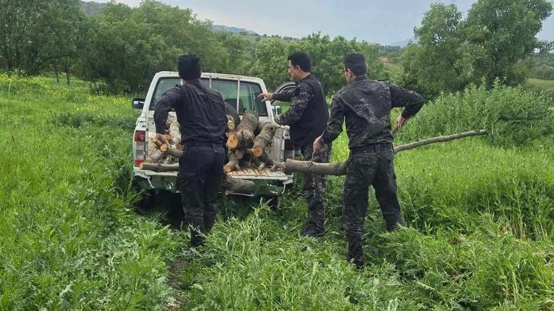 چوار پیکاب داری بڕاوە دەستی بەسەردا گیرا