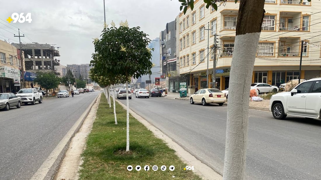 شارەوانی دارەكان رەنگ دەكات