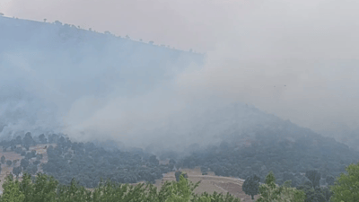 ئاگر لە شارباژێڕ کەوتووەتەوە و 1000 دۆنم زەوی سووتاوە