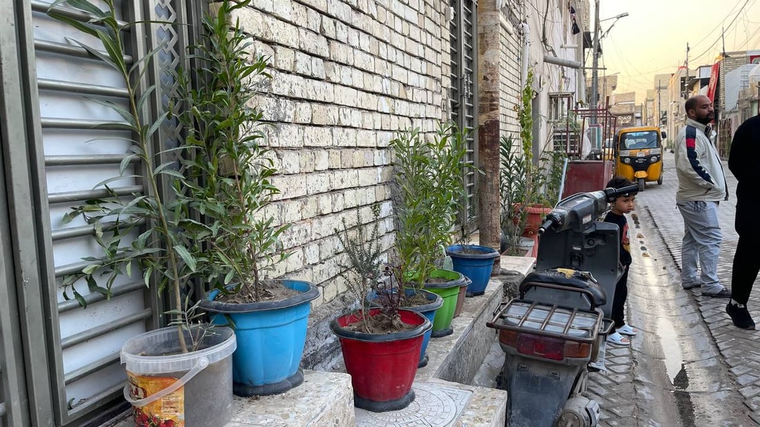 صور: زقاق في مدينة الصدر ستودّ أن تعيش فيه.. علي حسين فعل هذا كله