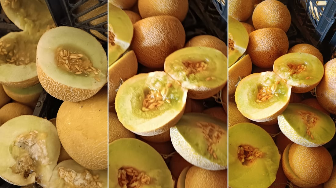 کاڵەک و هەرمێی نەشیاو گەڕێندرانەوە ئێران