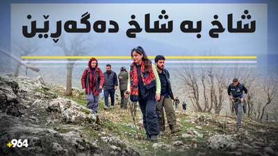 شاخ و گوند دەگەڕێن باس لە پەیامی ئاشتی بۆ جیهان دەکەن