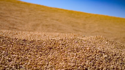 بڕی 500 ملیار دیناری دیكە بۆ جوتیاران خەرج دەكرێت