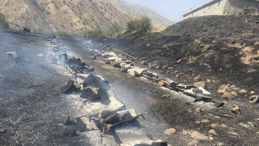 کەمتەرخەمی گەشتیار 150 سندوقی بەخێوکردنی هەنگی سووتاند