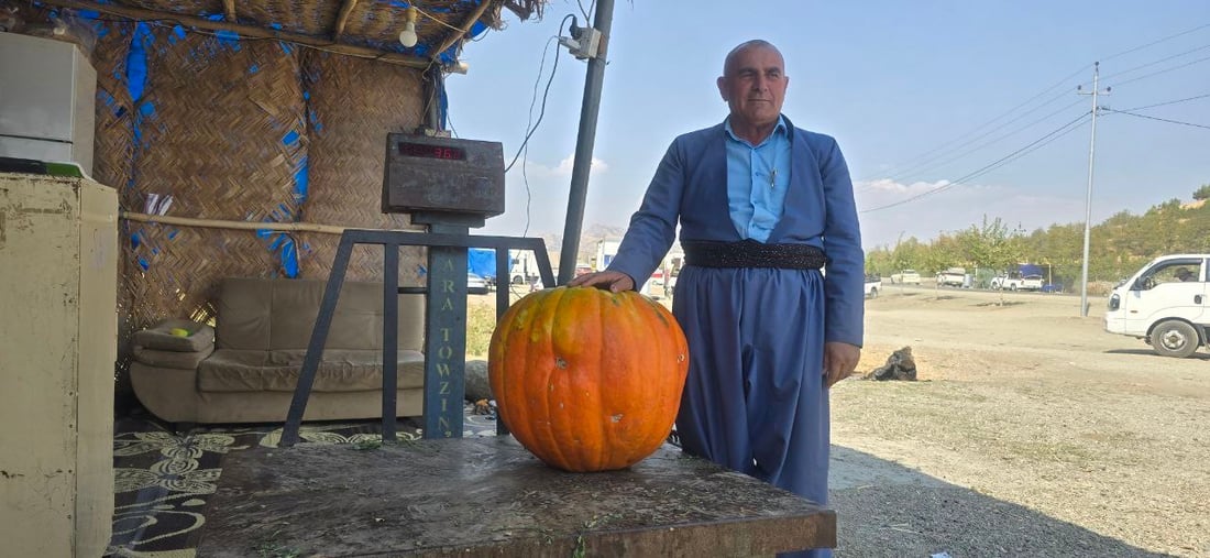 صور: مزارع كردي يحصد أكبر ثمرة يقطين في كردستان لكن محتار بطريقة طبخها