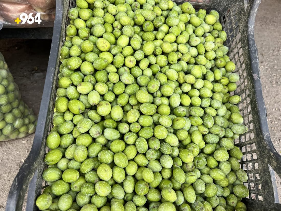 964mediaصورة من منصة (شبكة): 