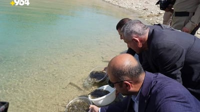 بەنداوی دوکان بە پەنجە ماسی تەنرا