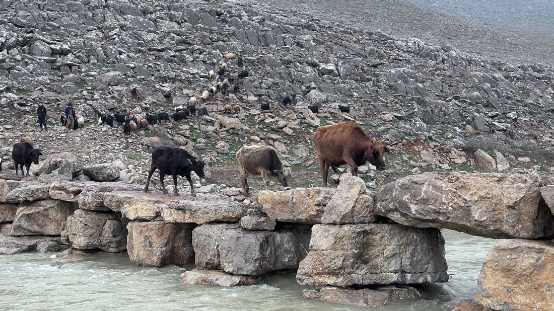 لە بەردی سادە هونەری تەلارسازی و چارەسەری گرفتێکی گەورە