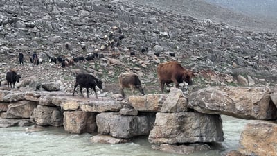 لە بەردی سادە هونەری تەلارسازی و چارەسەری گرفتێکی گەورە