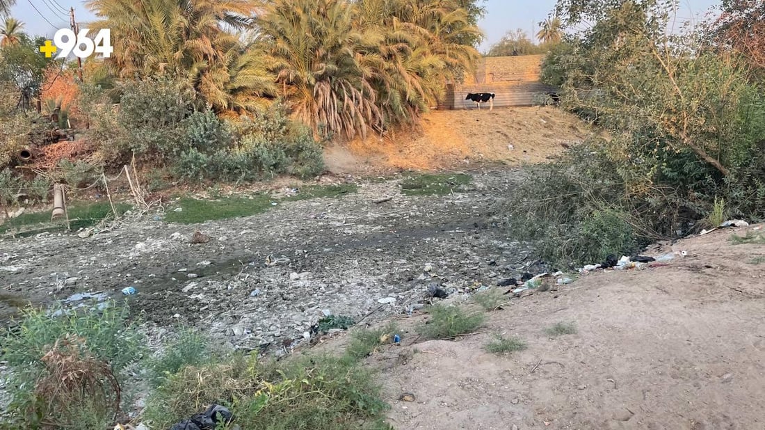 صور: اختفاء النهر الأخير في المشخاب.. الجفاف يهدد بهجرة من أبو ذهب وآل إبراهيم