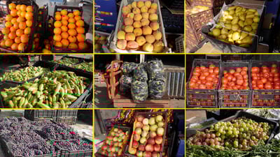 بامية بلد وطماطة ربيعة تنافسان المستورد بعلوة حمدان في أبو الخصيب (صور)