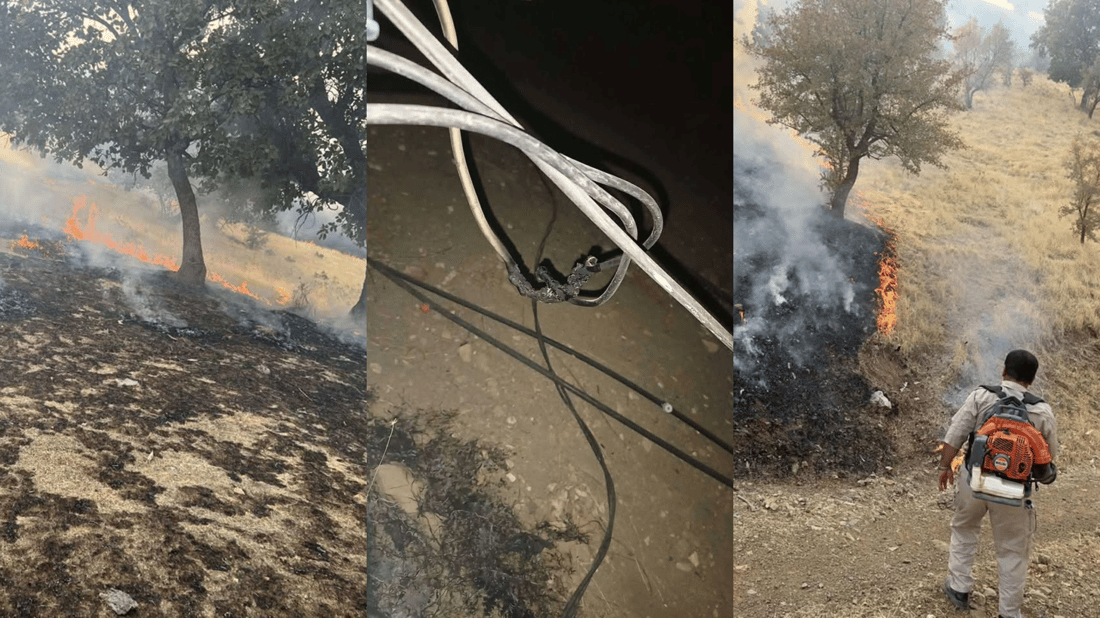 شۆرتی کارەبا زیاتر لە 1000 دۆنم پوش و پاوان و دارستانی لە شارباژێر سووتاند