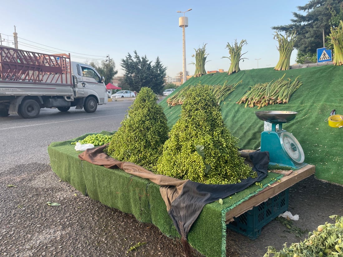 قەزوانەکەی چەمی رێزان خواستی زۆری لەسەرە