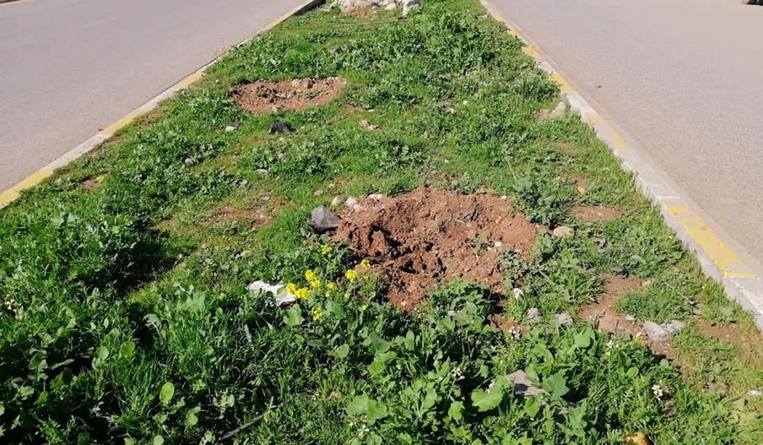 بە رۆژ چاندیان و بۆ شەوەکەی دزران