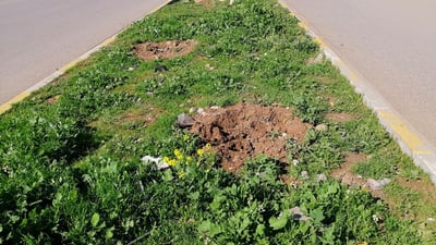 بە رۆژ چاندیان و بۆ شەوەکەی دزران