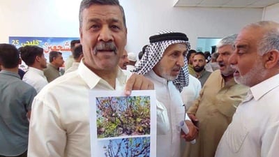 بلد: “البياض الزغبي” يضرب سلة العنب والحكومة تعد 700 فلاح بالتعويض (صور)