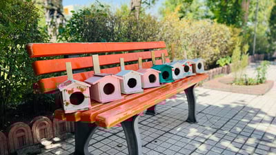 لەناو درەختەکاندا ماڵ بۆ باڵندەکانی چەمچەماڵ دروستکرا