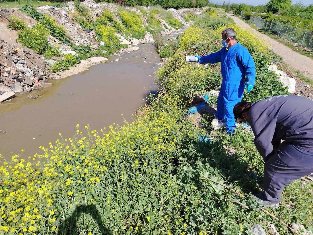 تەندروستیی هەڵەبجە قڕکردنی مێش و مەگەزی دەستپێکرد