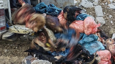 ده‌ستبه‌سه‌ر تۆن و نیوێك سه‌روپێدا گیرا