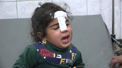 كلاب الموصل الأكثر شراسة وعدوانية في العراق.. منذ أكلت جثث داعش