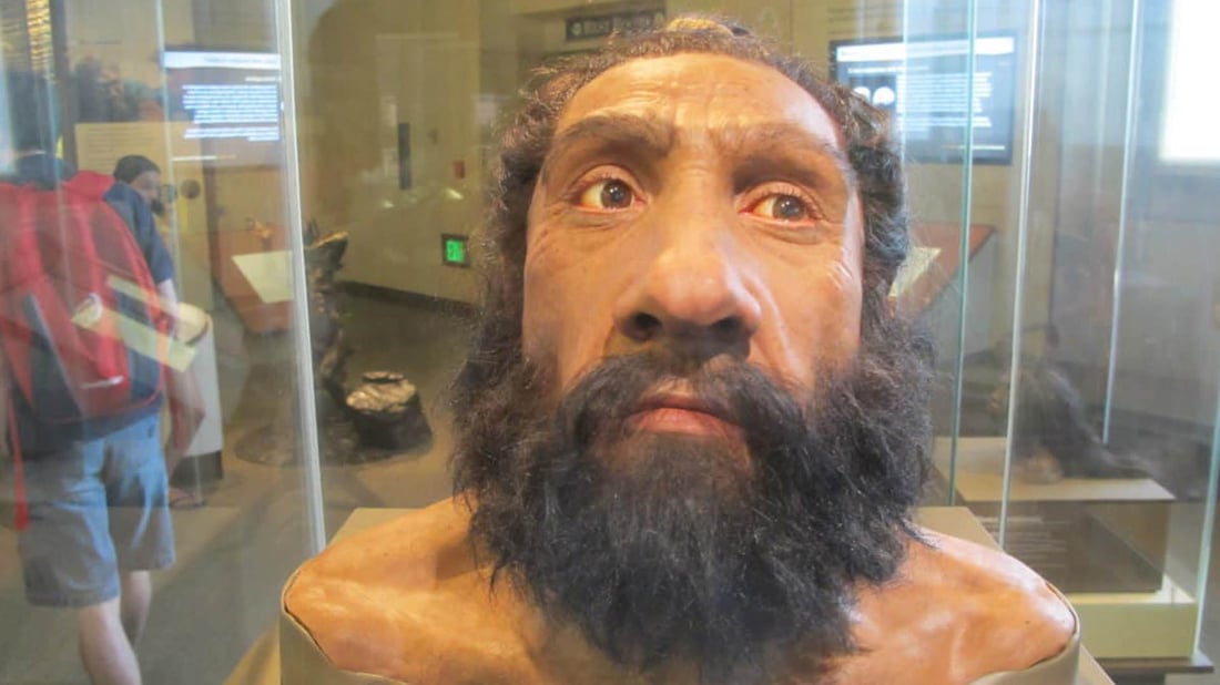 60 ساڵ لەمەوبەر کەللەسەرێکی دیکەی مرۆڤی نیاندرتاڵ دروستکراوەتەوە