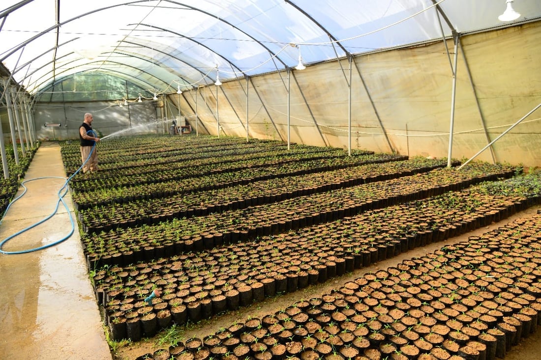 لەمساڵدا 210 هەزار گوڵ و دار لە هەولێر بەرهەمهێنراوە