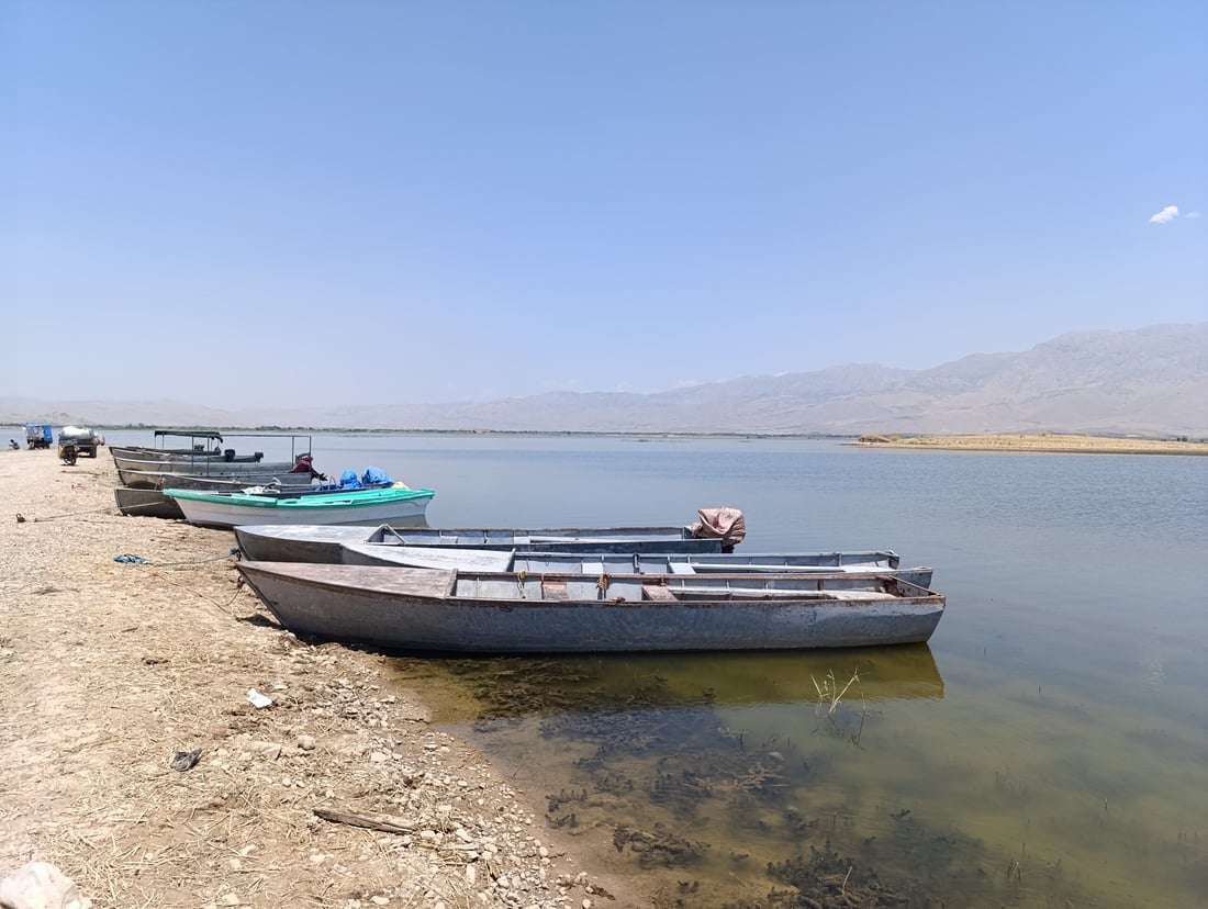 ئه‌مساڵ به‌ته‌ماى شووتى و خه‌یارى به‌حره‌كه‌ مه‌بن