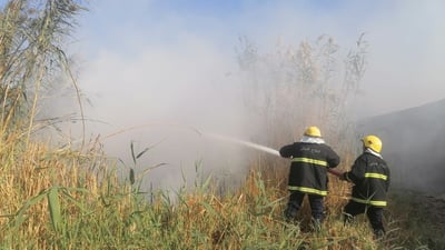 أراد التخلص من الأدغال فأحرق بستانه.. الدفاع المدني يخمد النيران بقضاء المدينة