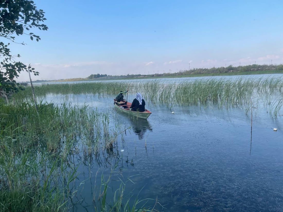 أسماك الخليج تمتنع عن دخول دجلة.. الأخطاء خربت المياه و4 فقط يحرسون أنهار البصرة