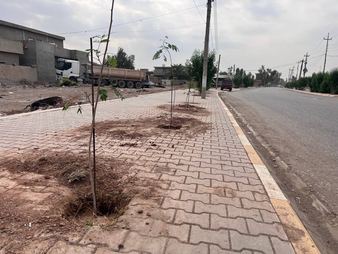 داقوق: حملة زراعة بدأت من “الثقلين” وحي الموظفين ولن تتوقف (صور)