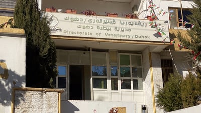 Duhok Veterinary Directorate opposes stray dog culling plan