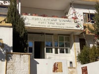 Duhok Veterinary Directorate opposes stray dog culling plan