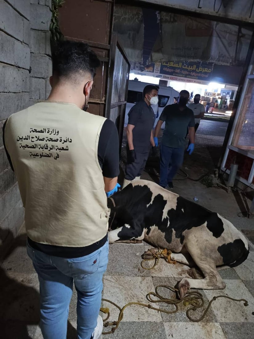 صور: إغلاق قصابة في الضلوعية ومصادرة 200 كيلو من اللحم التالف