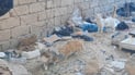 Tal Afar tea vendor dedicates five years to feeding stray cats