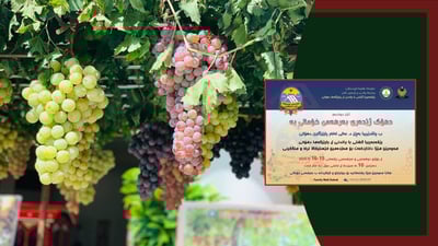 ناوه‌ڕاستى ئه‌م مانگه‌ فێستیڤاڵه‌ به‌ناوبانگه‌كه‌ى ترێ و هه‌نگوین به‌ڕێوه‌ده‌چێت