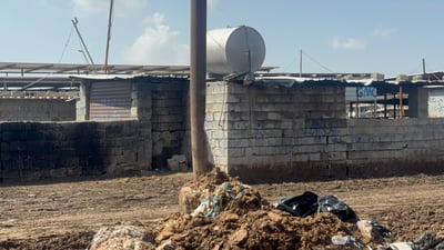 ستوونەکانى مەیدانى ئاژەڵان بوونە هۆى مرداربوونەوەى شەش سەر ئاژەڵ