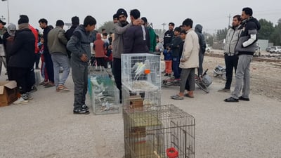 “رمبة” قطار الإنكليز حوّلها أهل المسيب إلى سوق غزل كل جمعة! (فيديو)