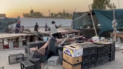 فرۆشیارە گەڕۆکەکانی نزیک عەلوە نمونەییەکەی کەرکوک لادەبرێن