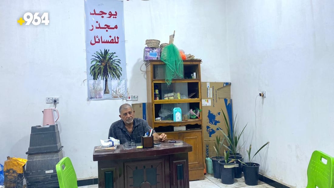 صور من البصرة: “أبو سجاد” يبيع أجود النخيل والسر في مختبرات البرحي و”العجوة”