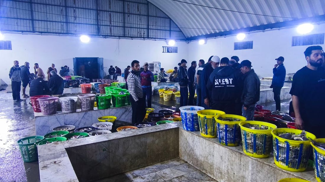 صور: 30 طناً من السمك في مرسى النقعة.. “خلي الفقير ياكل”