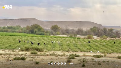 له‌ دوو گوندى گه‌رمیان زه‌وی‌ كشتوكاڵی به‌ناوى جوتیاران ده‌كرێن