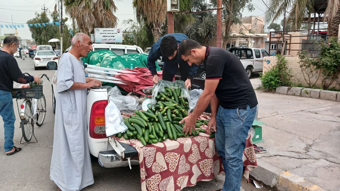 صور من داخل بيوت الخيار العراقي.. مذاقه حلو ورائحته شهية ولا مقارنة مع المستورد