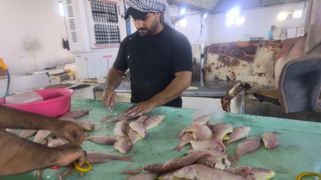 5 أطنان روبيان و3 هامور تنعش مزاد الفاو صباح اليوم.. والصيادون يتحدون “البوارح”