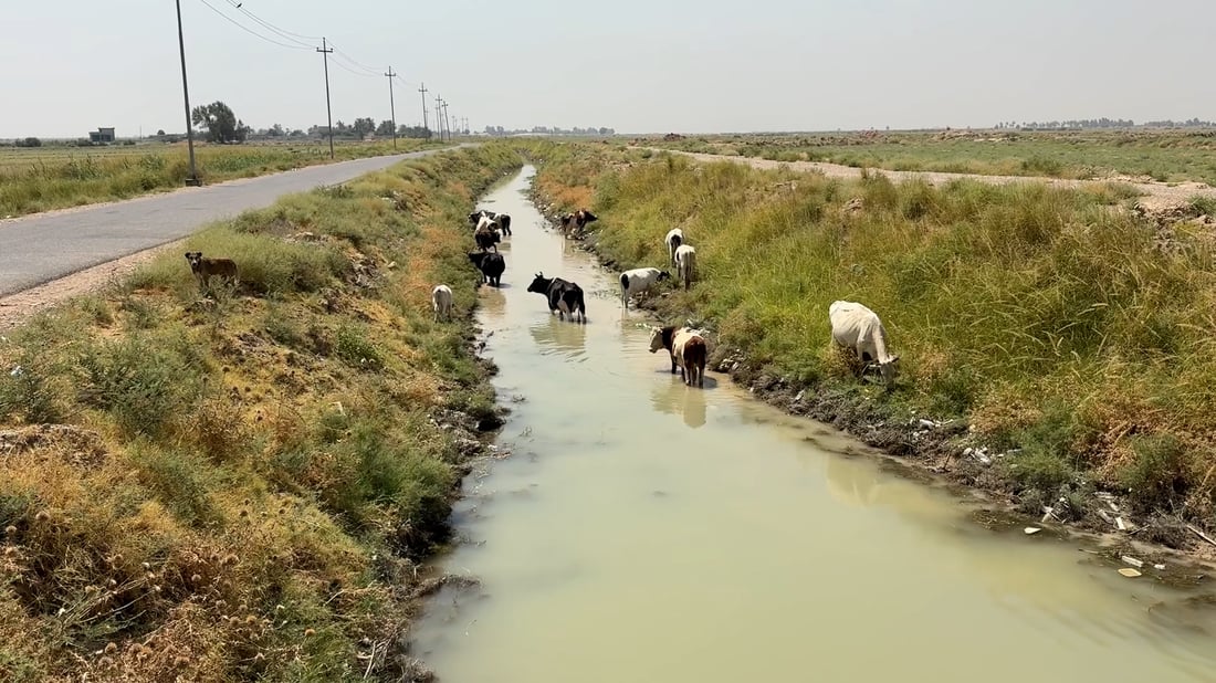 Fifteen Diyala villages say they may leave, in the year the water came back