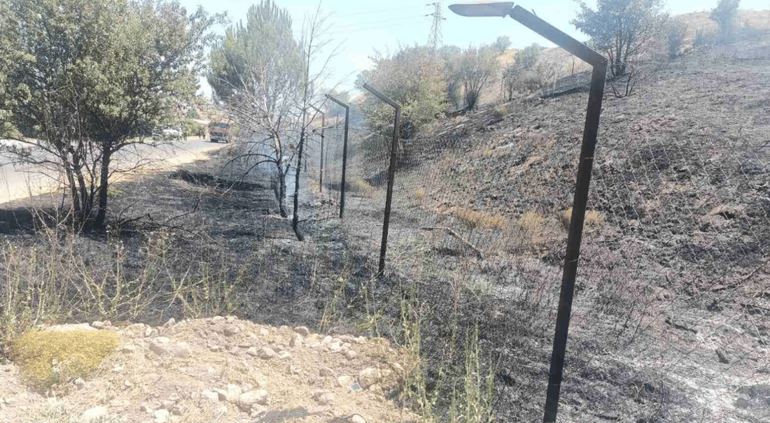 لە سنووری سیتەک ژمارەیەک داری سروشتی و رەزی هاوڵاتیان سووتا