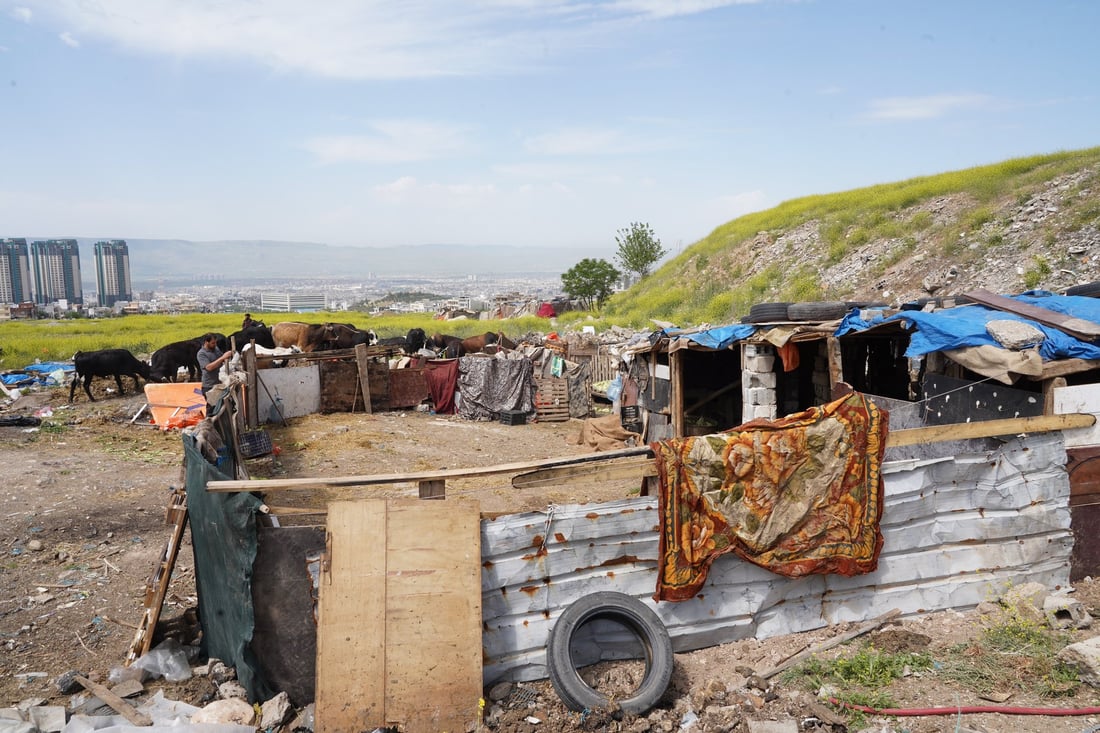 شارەوانی سلێمانی ژمارەیەک گەوەڕ لە دەورووبەری شار لادەبات
