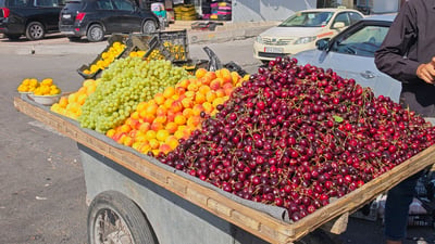 دنیادیدەیەک:”25 ساڵە میوەیەکم بەتام و بۆنى خۆى نەخواردووە”