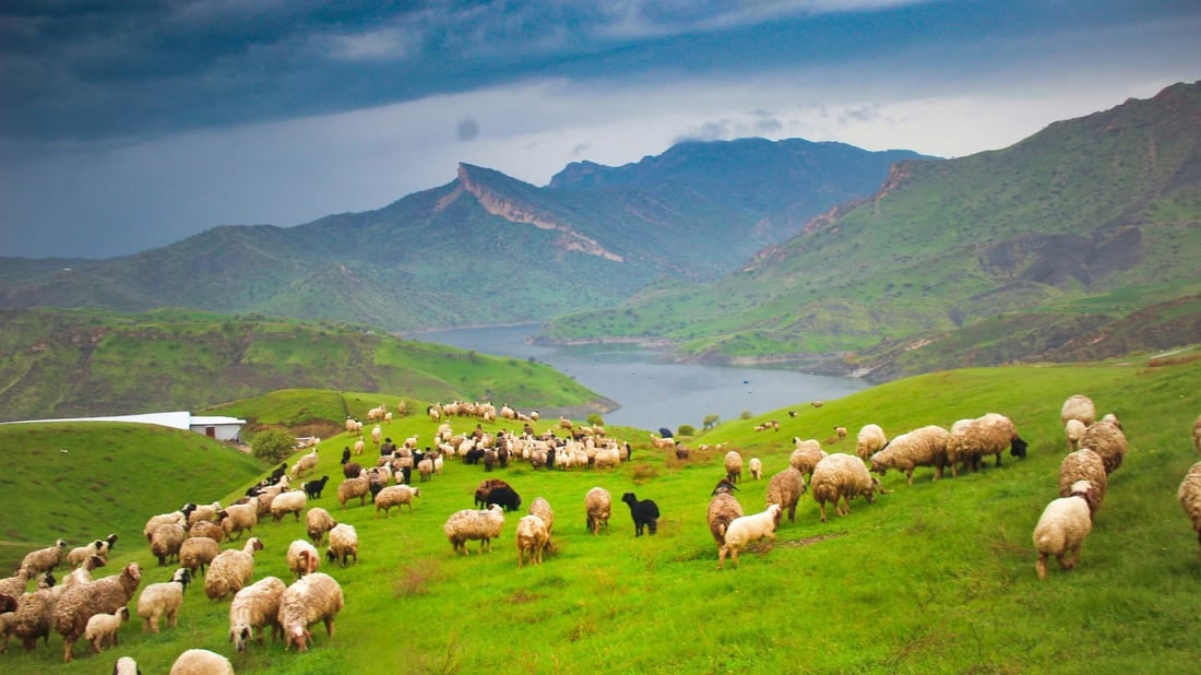بارانبارین لە هەندێک ناوچەی کوردستان دەستپێدەکاتەوە